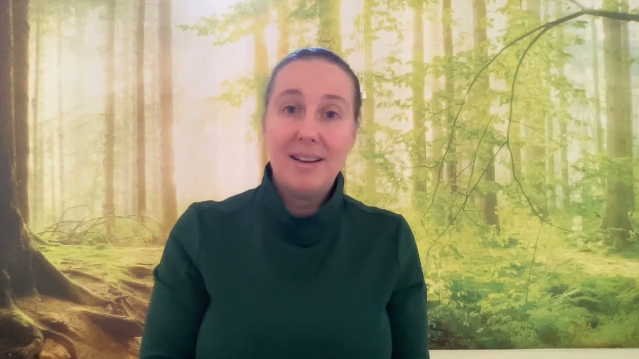 Aanwezig zijn - by: Annemarie Stenekes - Nederlands