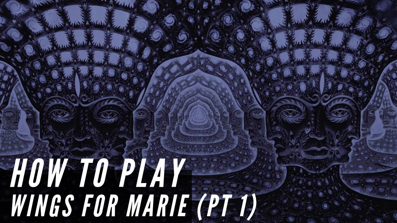 Tool Wings For Marie (Pt 1) Guitar Tutorial