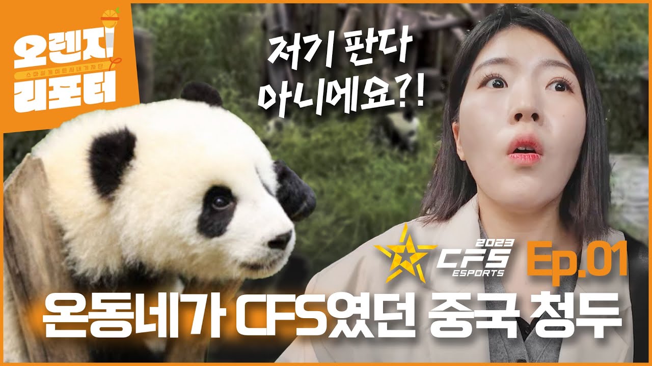 여기도! 저기도! 온세상이 CFS였던 청두를 만나다 [오렌지리포터 Ep.01](w.CFS2023GF)