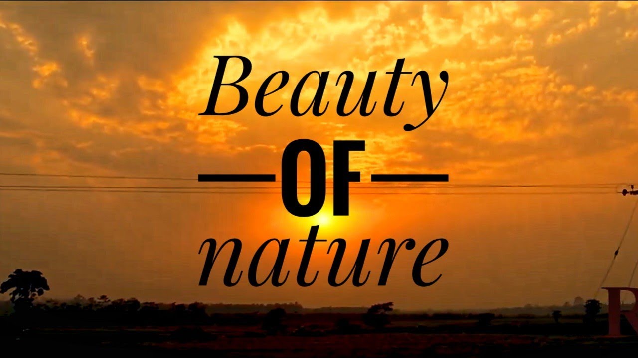 1 MINUTE RELAXING VIDEO | Beauty of NATURE |