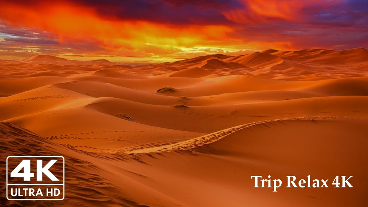 صوت رياح الصحراء - لتخفيف التوتر والاسترخاء | desert wind sound
