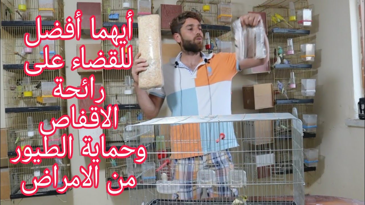 ماذا اضع في ارضية قفص وسلاكات الكناري والحسون اهمية الرمل