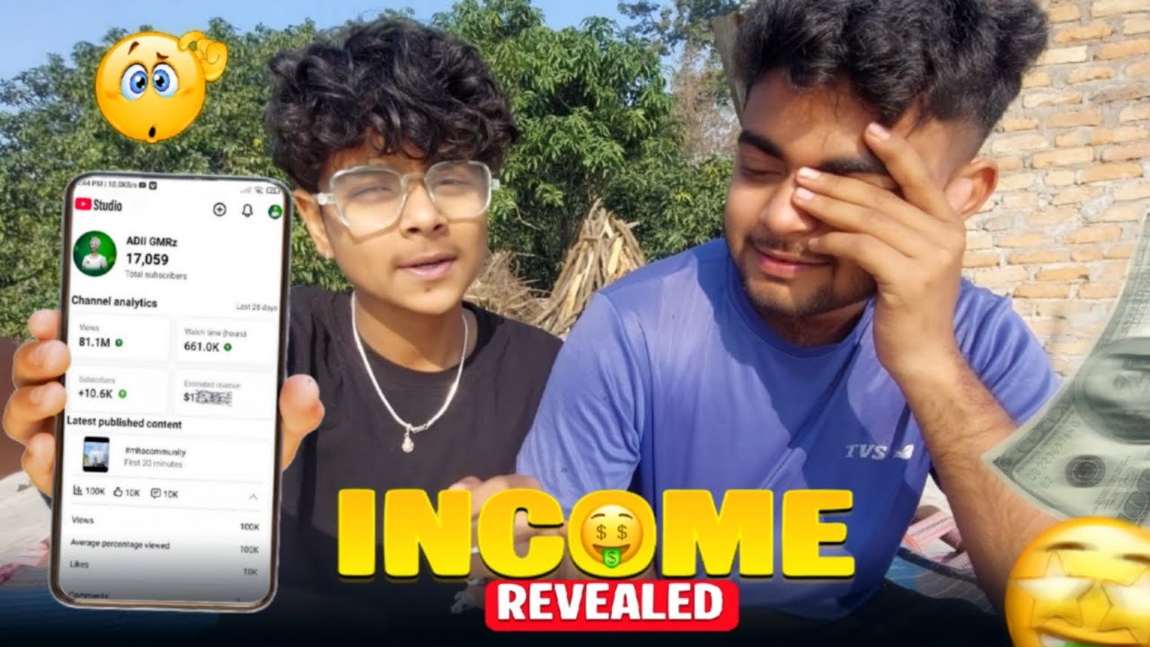 17k Subscribers hone ke bad Kitna paisa kamaya? 🤑