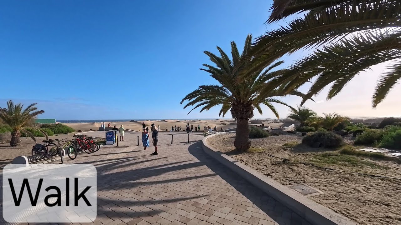 San Agustín - Maspalomas - 20260214 - 12km - 255m