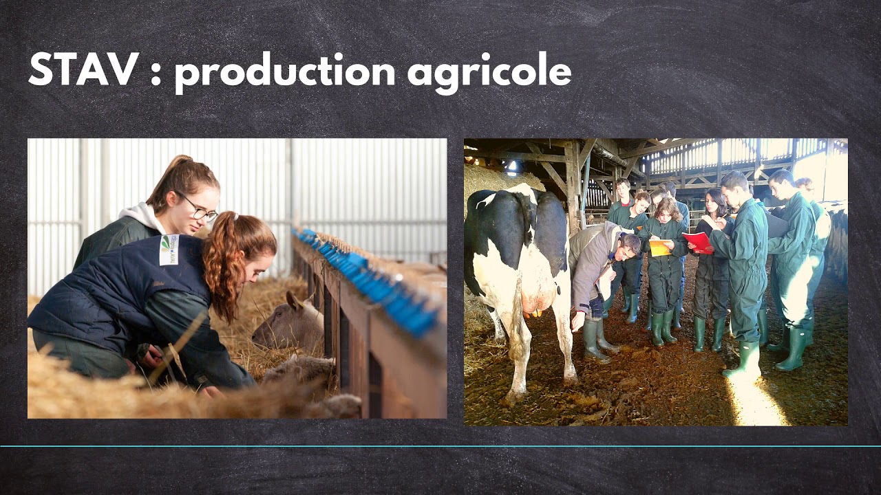 Les formations générales et technologiques du lycée Agricampus de Laval