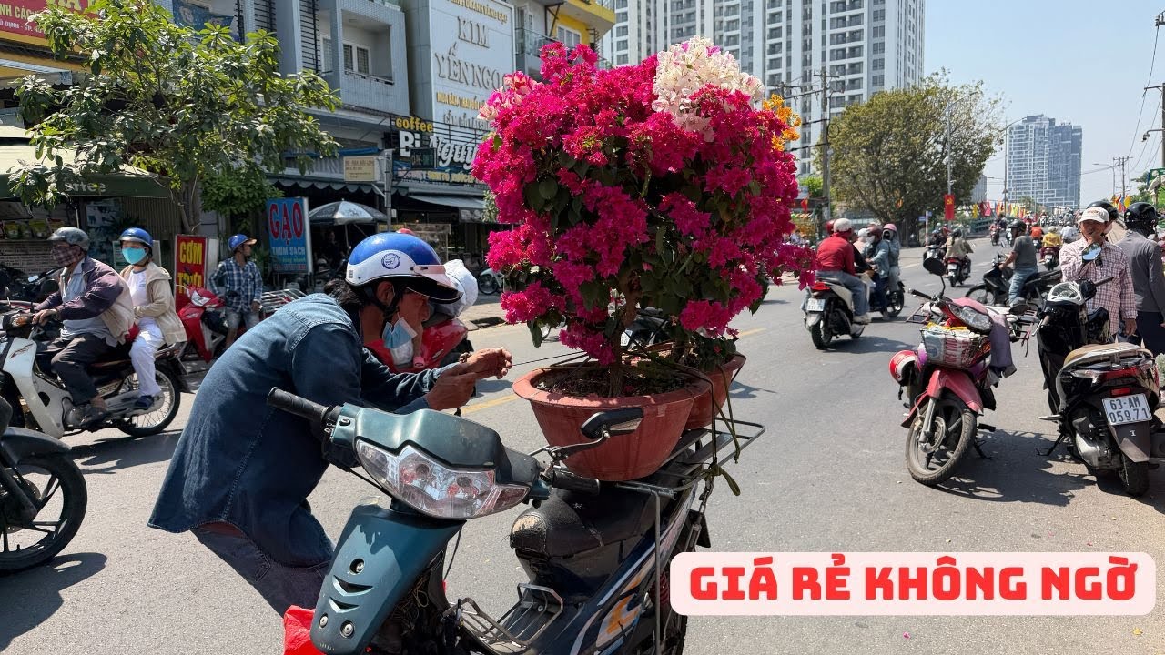 Hoa giá rẻ, người Sài Gòn ra Bến Bình Đông đua nhau chở về chưng Tết, quá vui