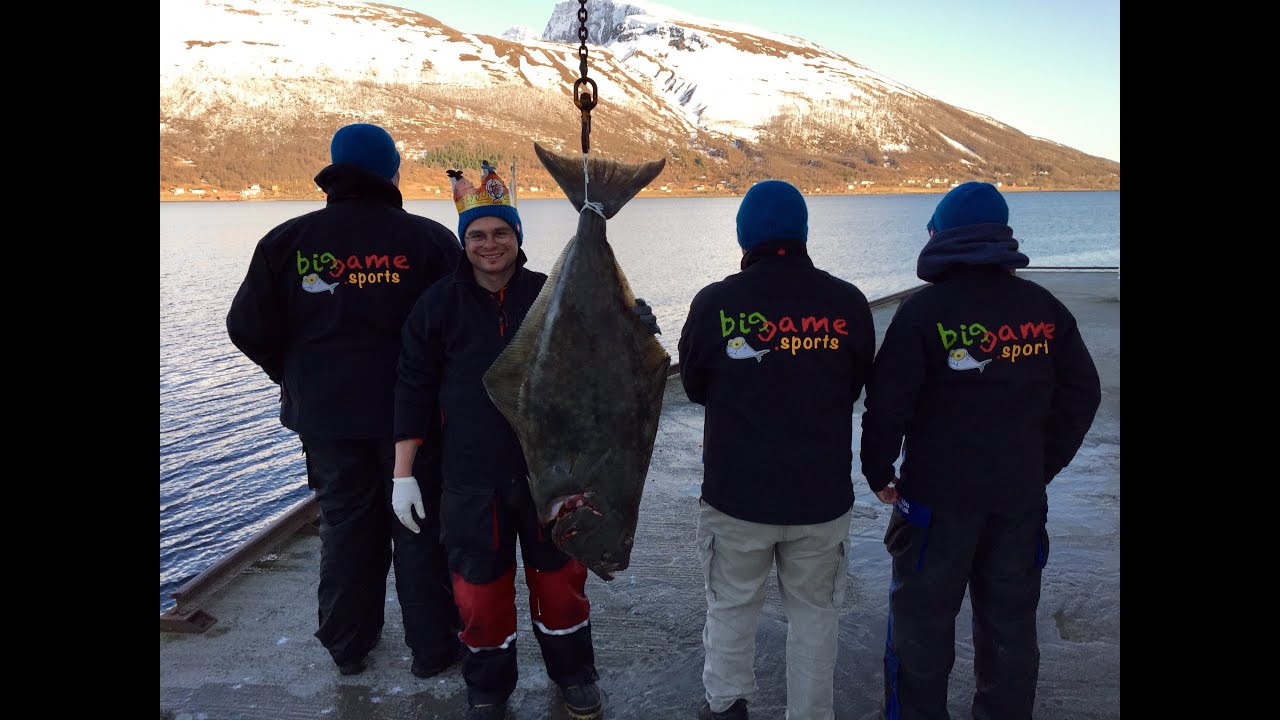 Heilbuttjagd am Lyngenfjord - biggame.sports
