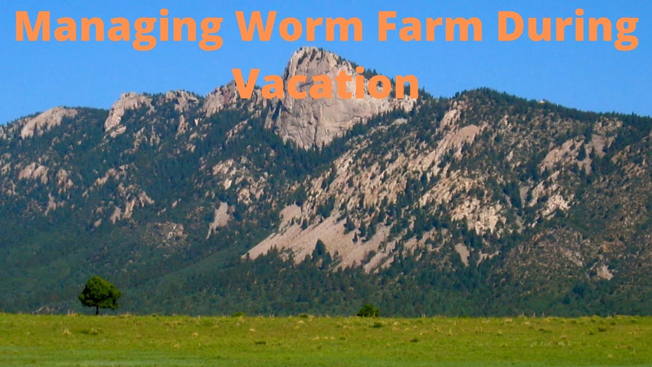 Managing Worms While on Vacation