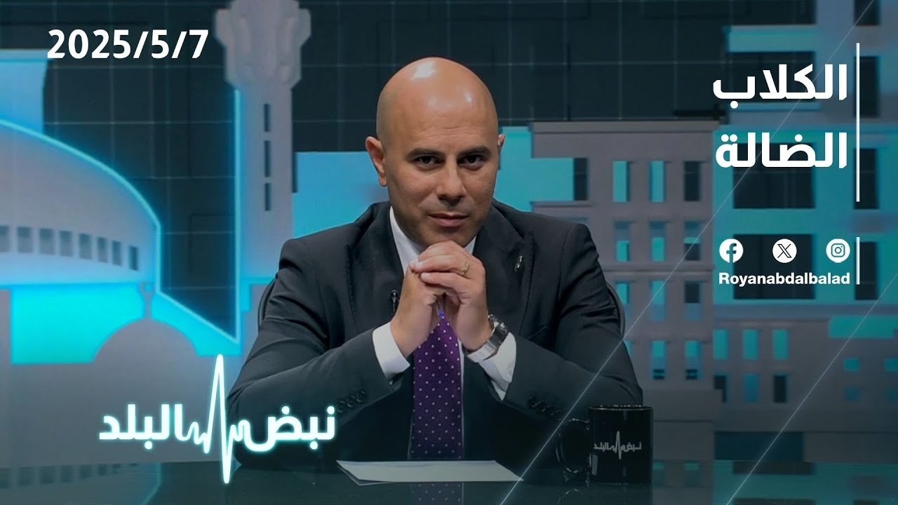 الكلاب الضالة | حوار نبض البلد