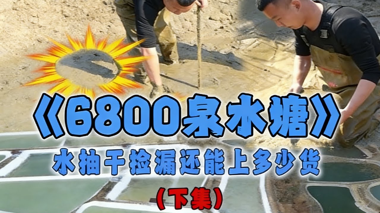 花6800包下甲魚養殖場的泉水塘，抓完魚去裡面撿漏，看看還能上多少貨！#戶外 #魚塘 #抓魚 #甲魚 #fishing
