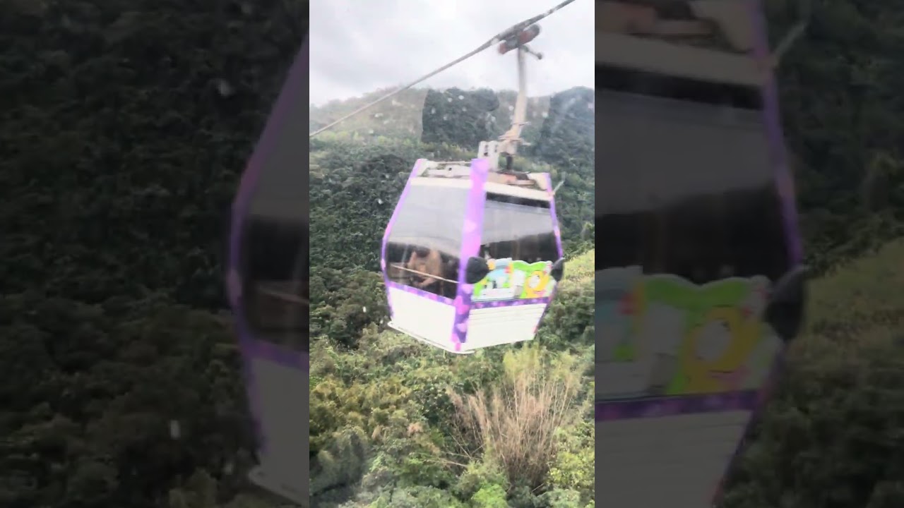 貓纜（上）