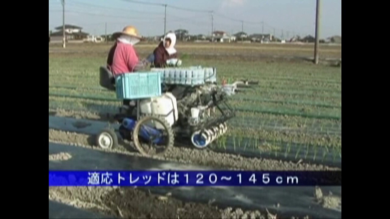【野菜作機械】 2人乗用4条たまねぎ移植機 PVHR4-145SG