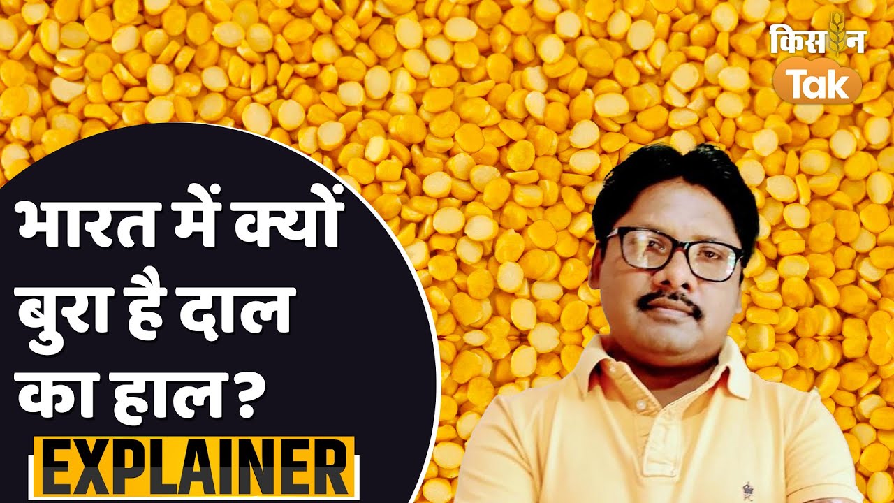 Pulses Crop: भारत है दुन‍िया का सबसे बड़ा दाल उत्पादक, फिर थाली में कम क्यों हुई दाल  | Kisan Tak