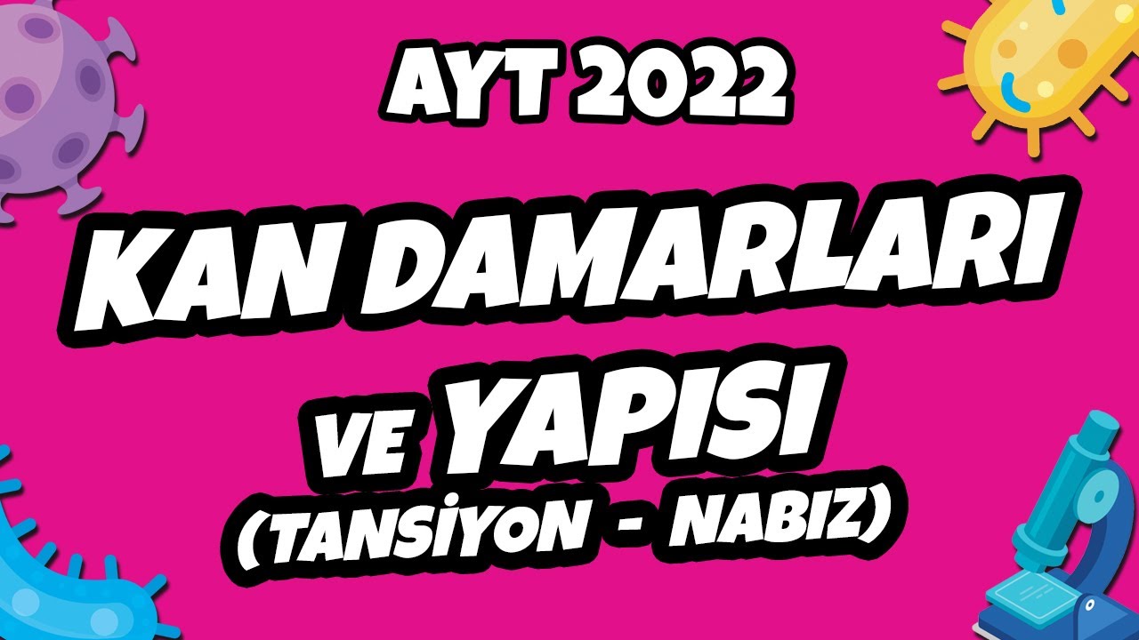Kan Damarları ve Yapısı (Tansiyon - Nabız) | AYT Biyoloji 2022 #hedefekoş