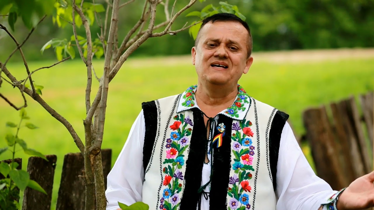 Gheorghe Jitaru  - Stau pe prispa casei mele