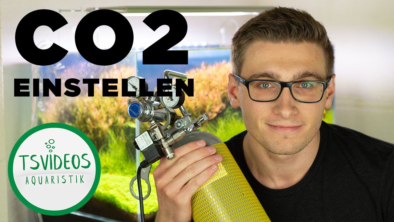CO2 Anlage richtig einstellen