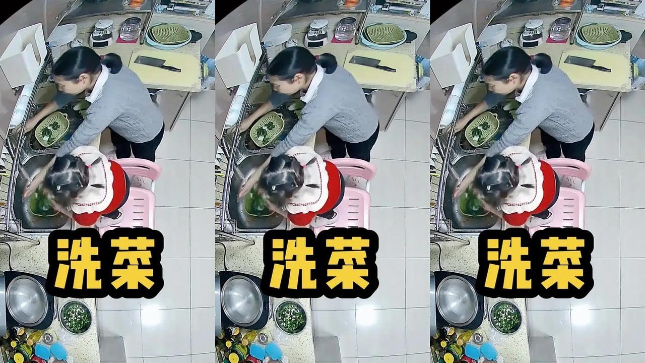 小二终于也到了能帮忙干活的年纪。#小型生物 #内容启发搜索 #随时随地标记一下 #二胎 #家庭