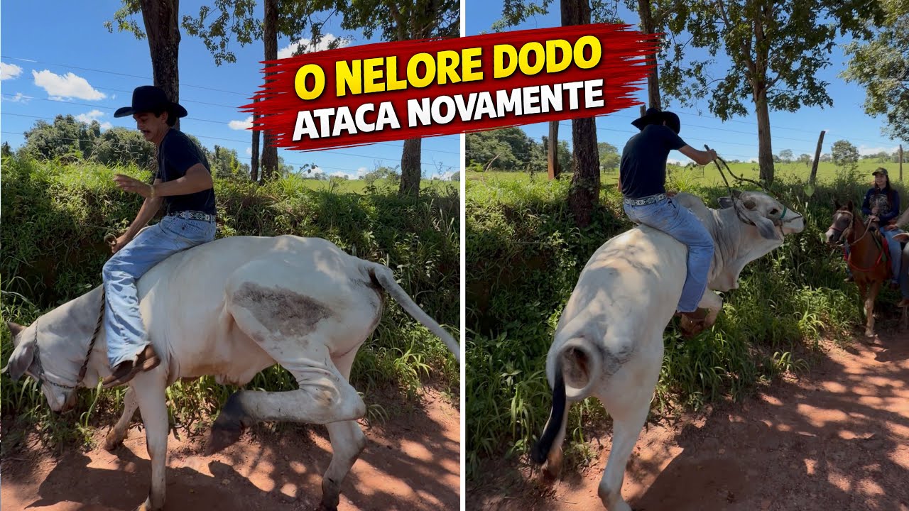 O TOURO DOIDO PULOU NO MEIO DA CAVALGADA E VEJA OQUE ACONTECEU 