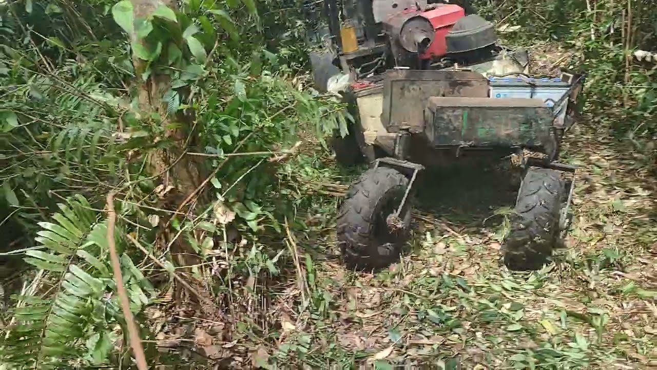 masih di dalam hutan. pelopor mower nusantara