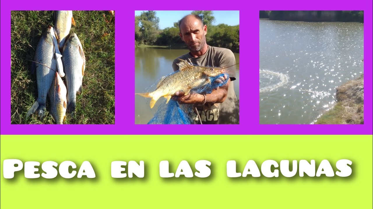 pesca con atarraya artesanal variada