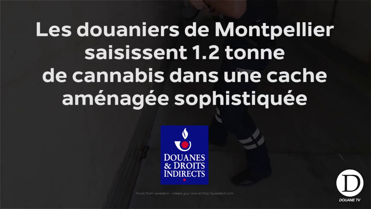 Les douaniers de Montpellier saisissent 1 2 tonne de cannabis dans une cache am&eacute;nag&eacute;e sophistiqu&eacute;