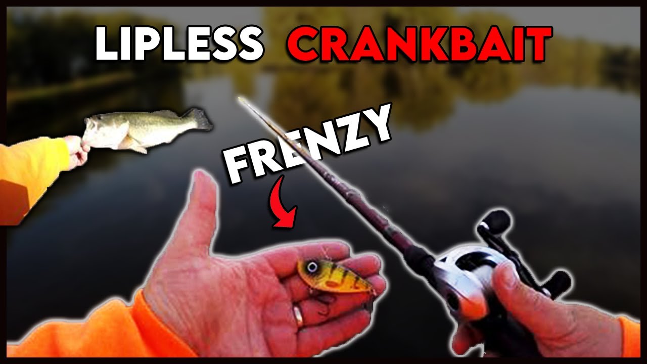 Non Stop LIPLESS CRANKBAIT Action!!! (Mississippi River Bass Fishing)