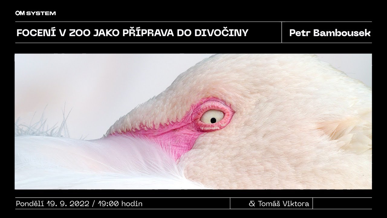 FOCENÍ V ZOO JAKO PŘÍPRAVA DO DIVOČINY