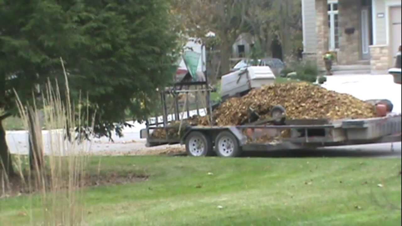 Full Fall Cleanup