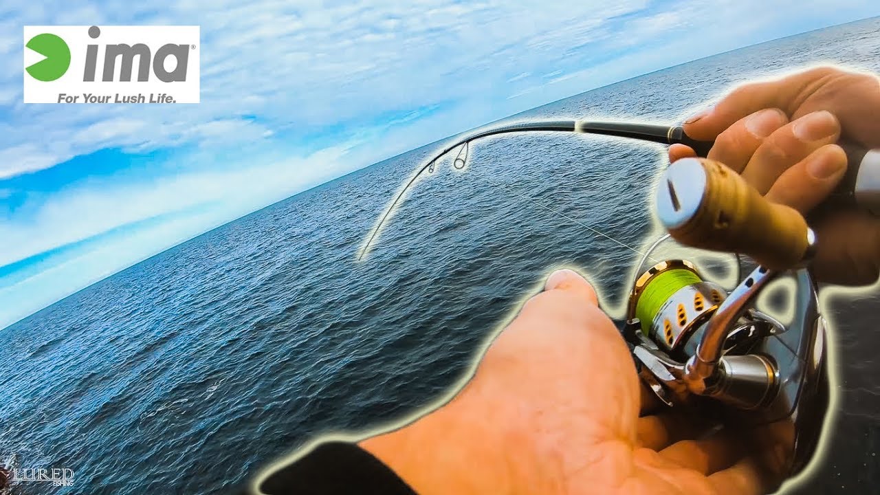 Probando NUEVOS señuelos y me pica un pez DEMASIADO GRANDE | Lured Vlog 69
