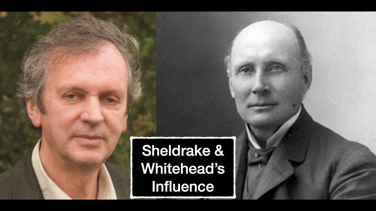 Rupert Sheldrake on the Influence of A. N. Whitehead