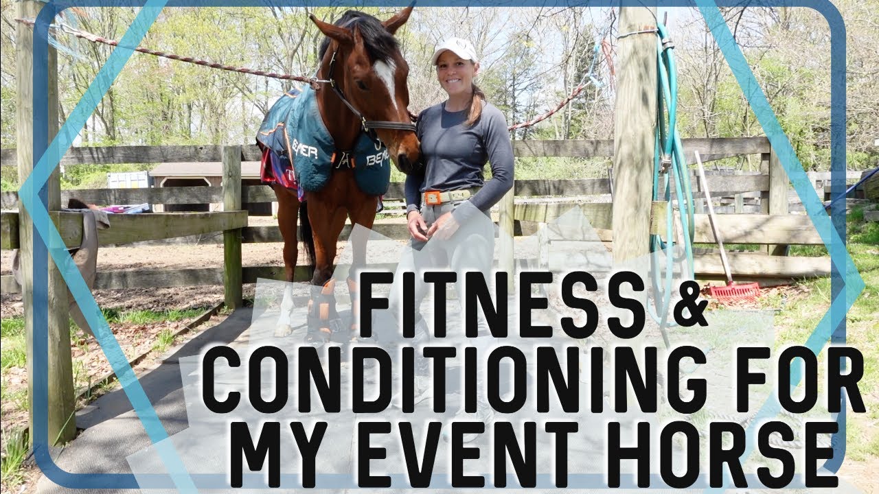 FITNESS & CONDITIONING FOR MY HORSE: My Training Schedule & Thoughts on Proper Fitness for Eventing