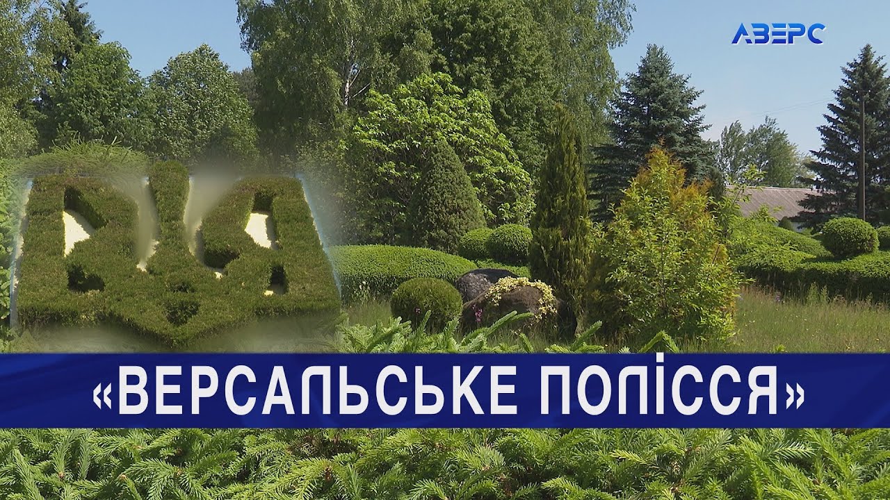 Клесівський дендропарк зачаровує вічнозеленими насадженнями