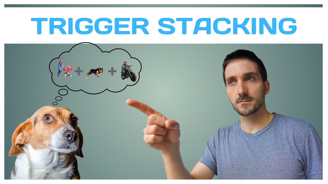 Trigger Stacking Explained: Why Your Dog Suddenly Reacts