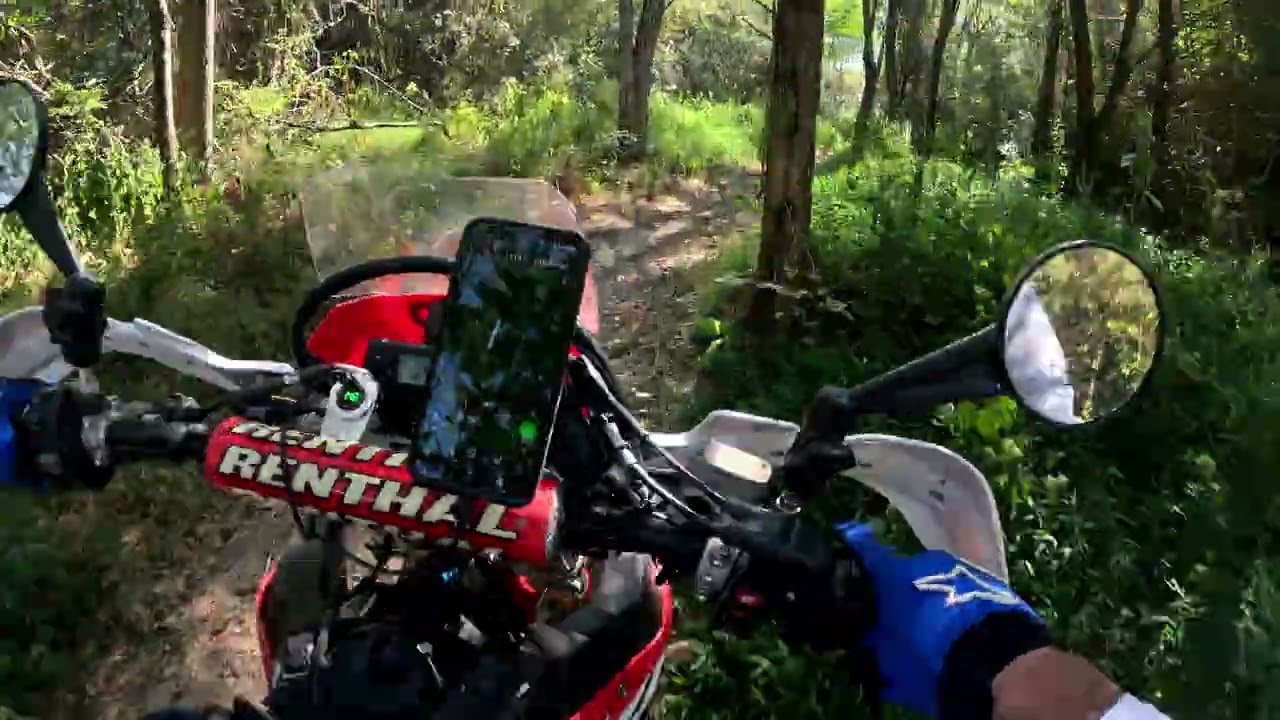 short section