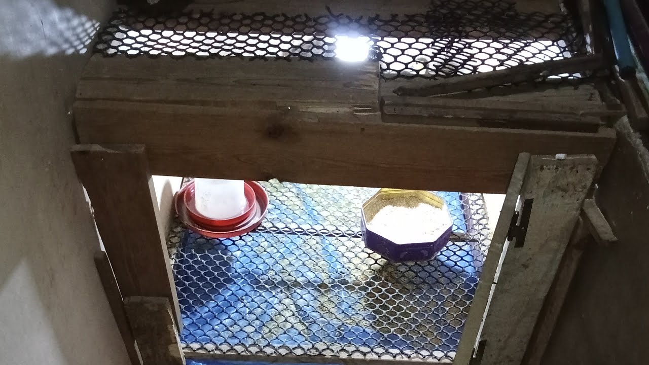 طريقه عمل عشه في البلكونه بدون تكاليف ولا مجهود وانسي الريحه 😷