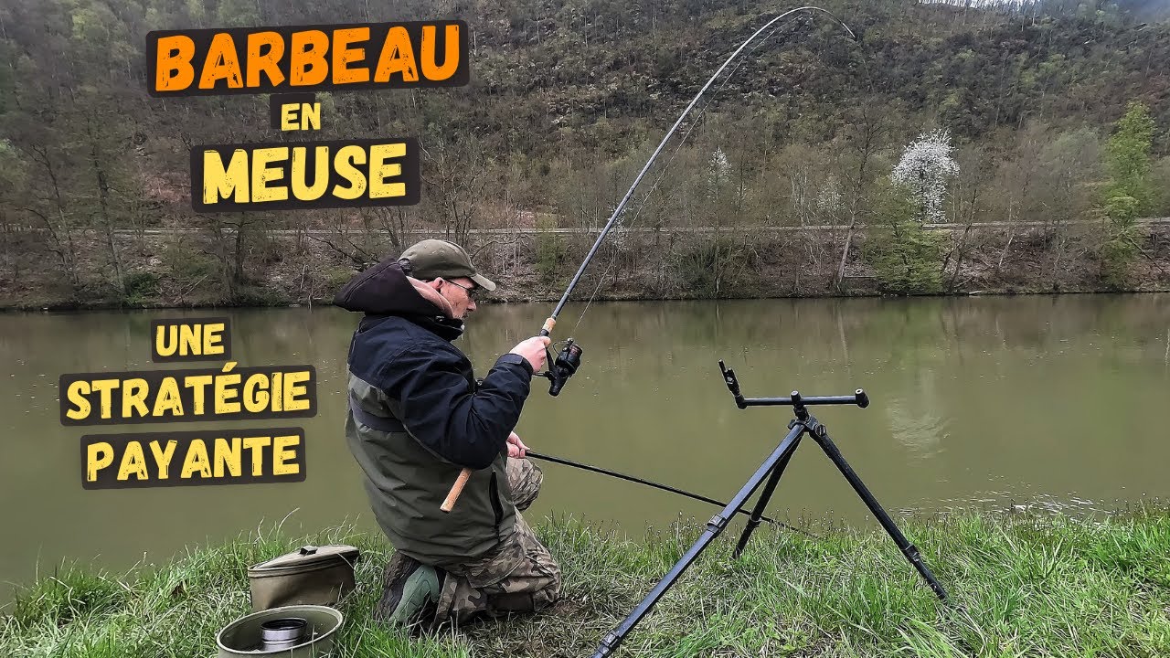 Optimisez votre recherche du Barbeau avec cette stratégie !