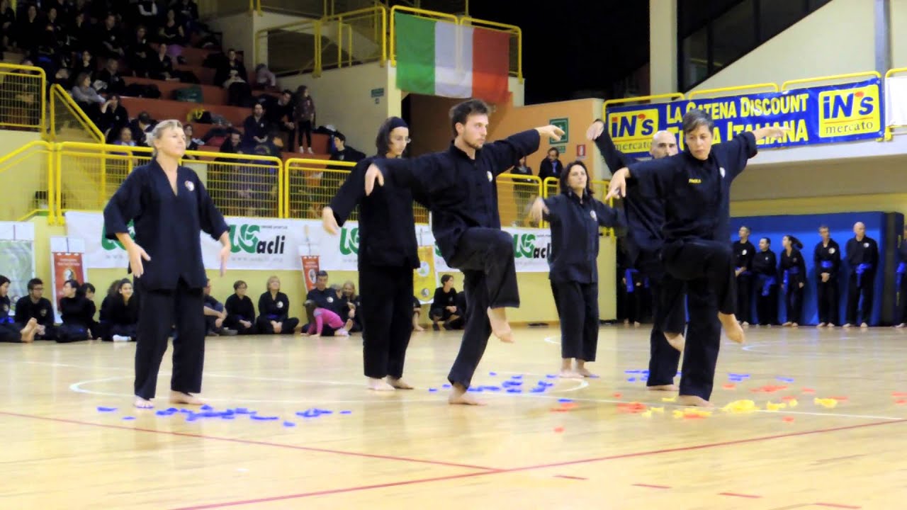 GLI UCCELLI NEL VIET TAI CHI: DIMOSTRAZIONE
