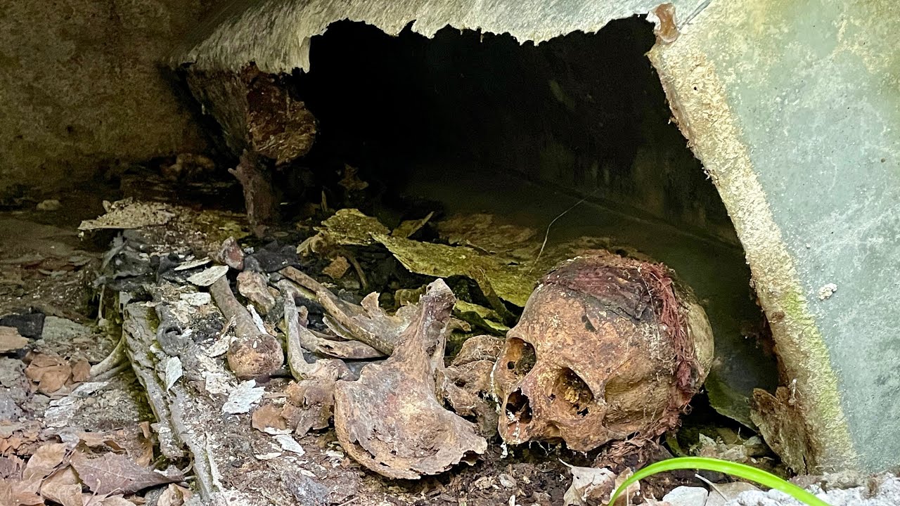 TROVIAMO SCHELETRI E BARE APERTE DENTRO QUESTO CIMITERO ABBANDONATO CON @Teo Urbex @EXPLORER PHOBIA