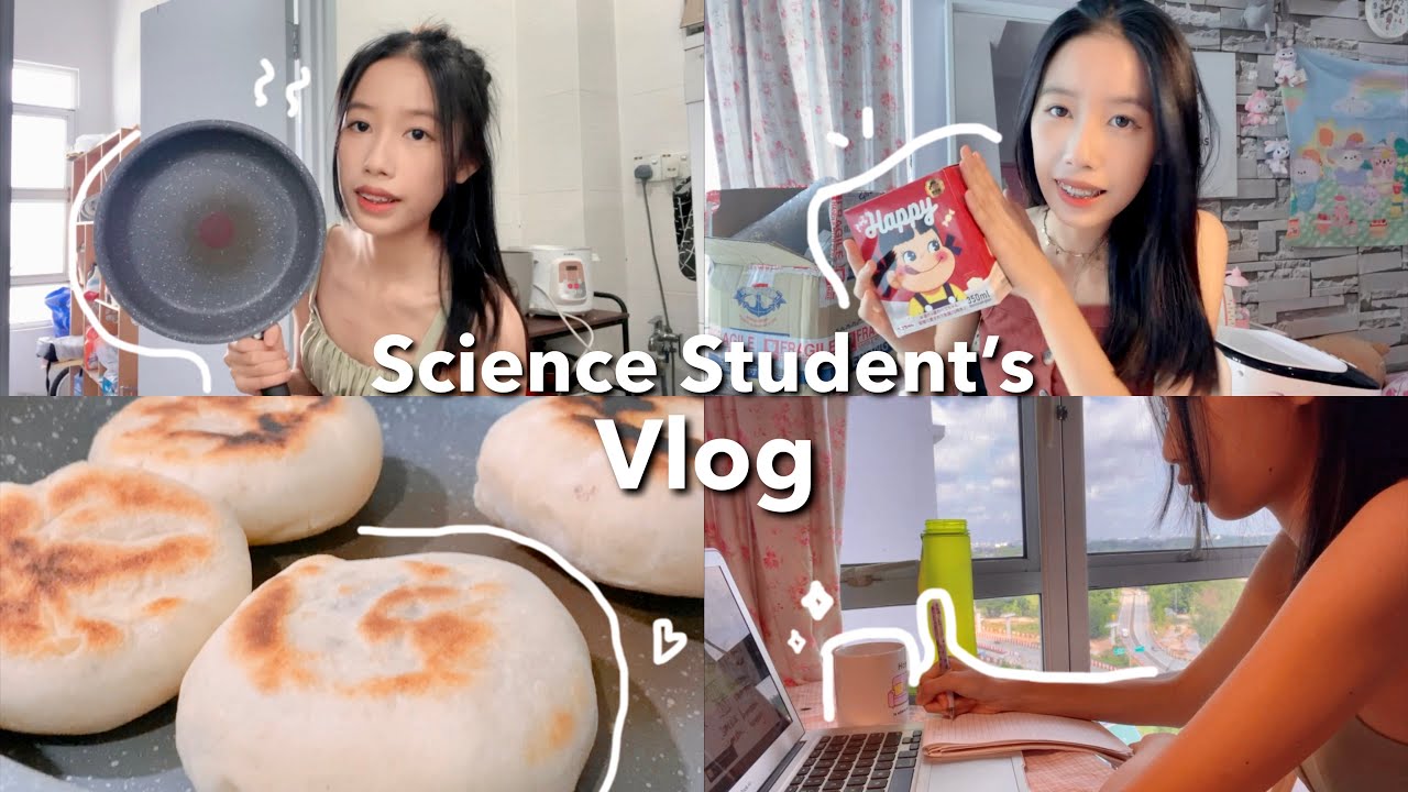 life of a high school science student (malaysia): notes 📒, korean lava rice 🥘, shopee haul