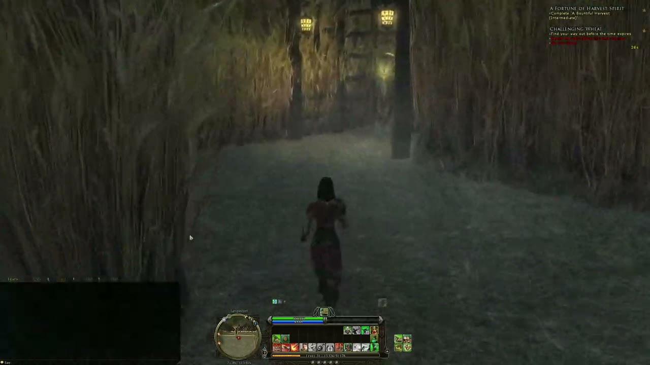 Harvestmath : Challenging Wheat - Maze 4 - LotRO