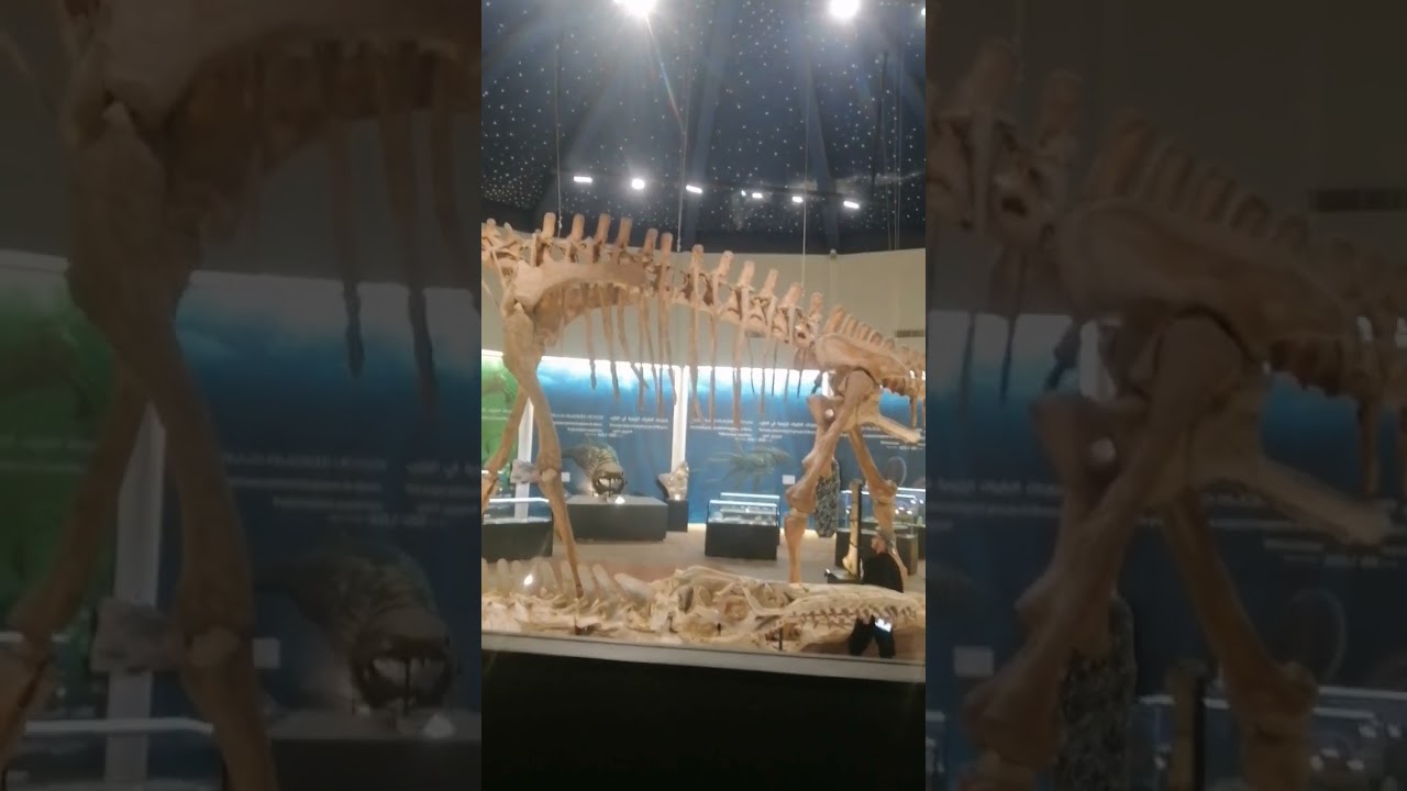 متحف مدينة ازيلال 😊❤️🦈🦕🦖🏺⛰️