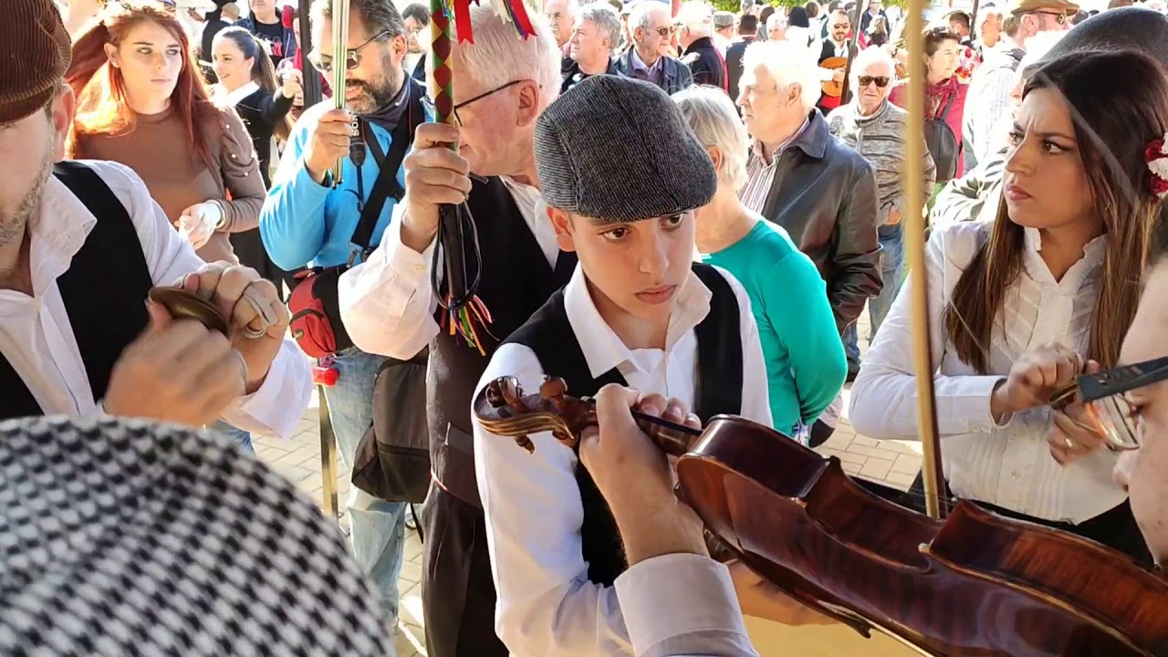 Previas Raices Malaga en la Fiesta Mayor de Verdiales 2019