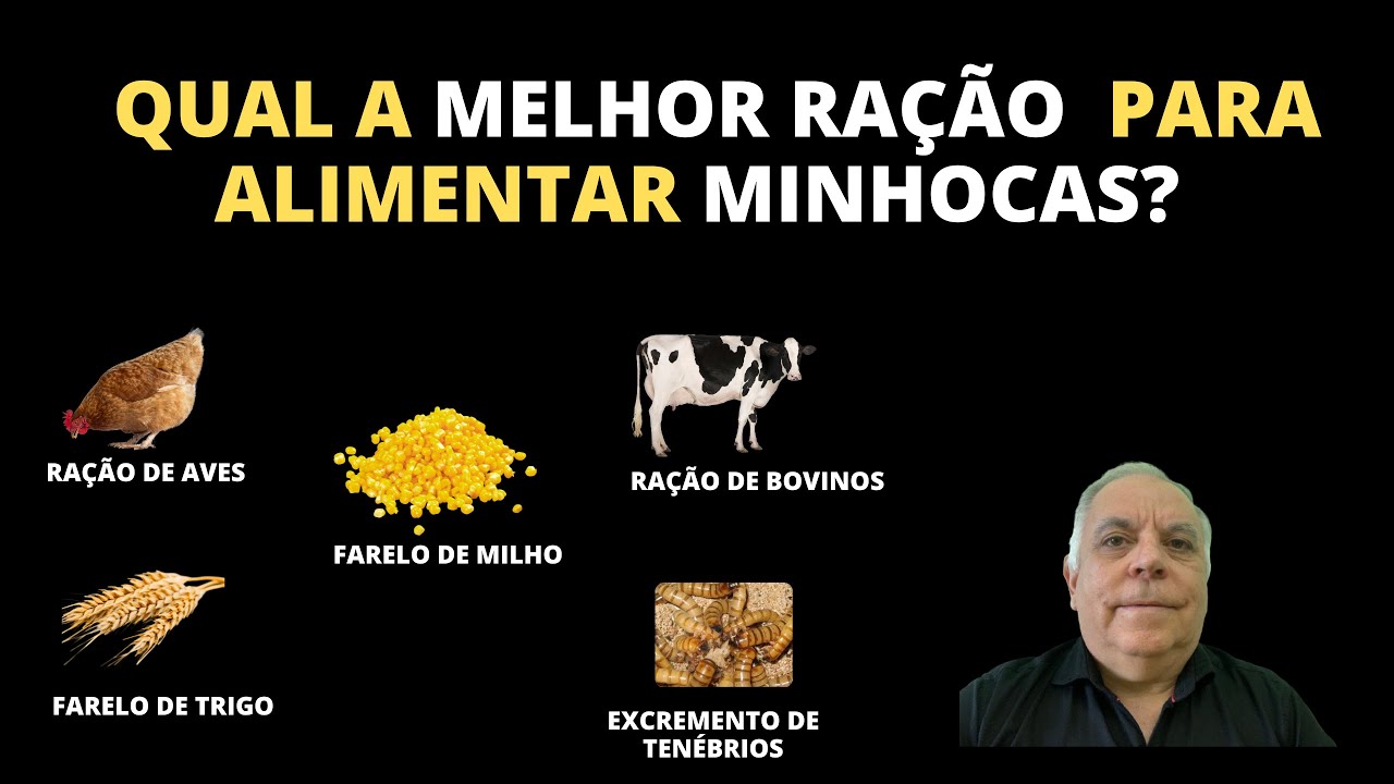 Comprovado! Melhor ração desidratada para alimentar minhocas da Califórnia!