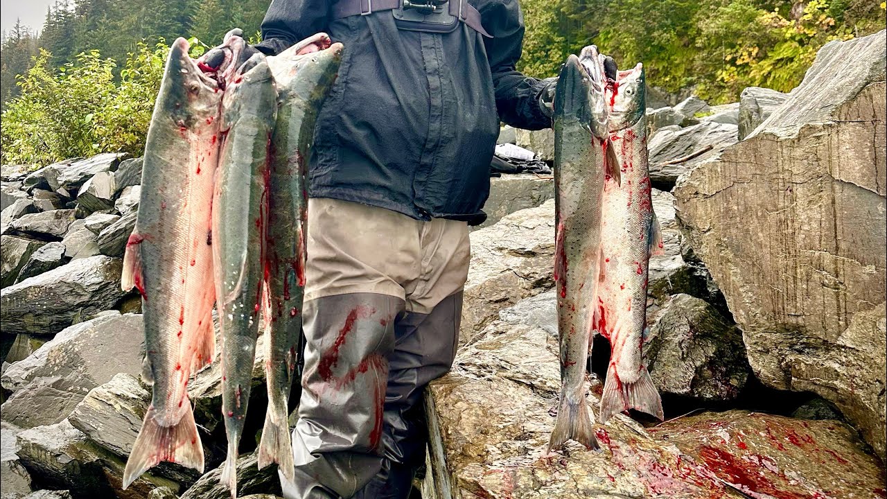 Shore Fishing for Silver Salmon in Valdez, Alaska 2023
