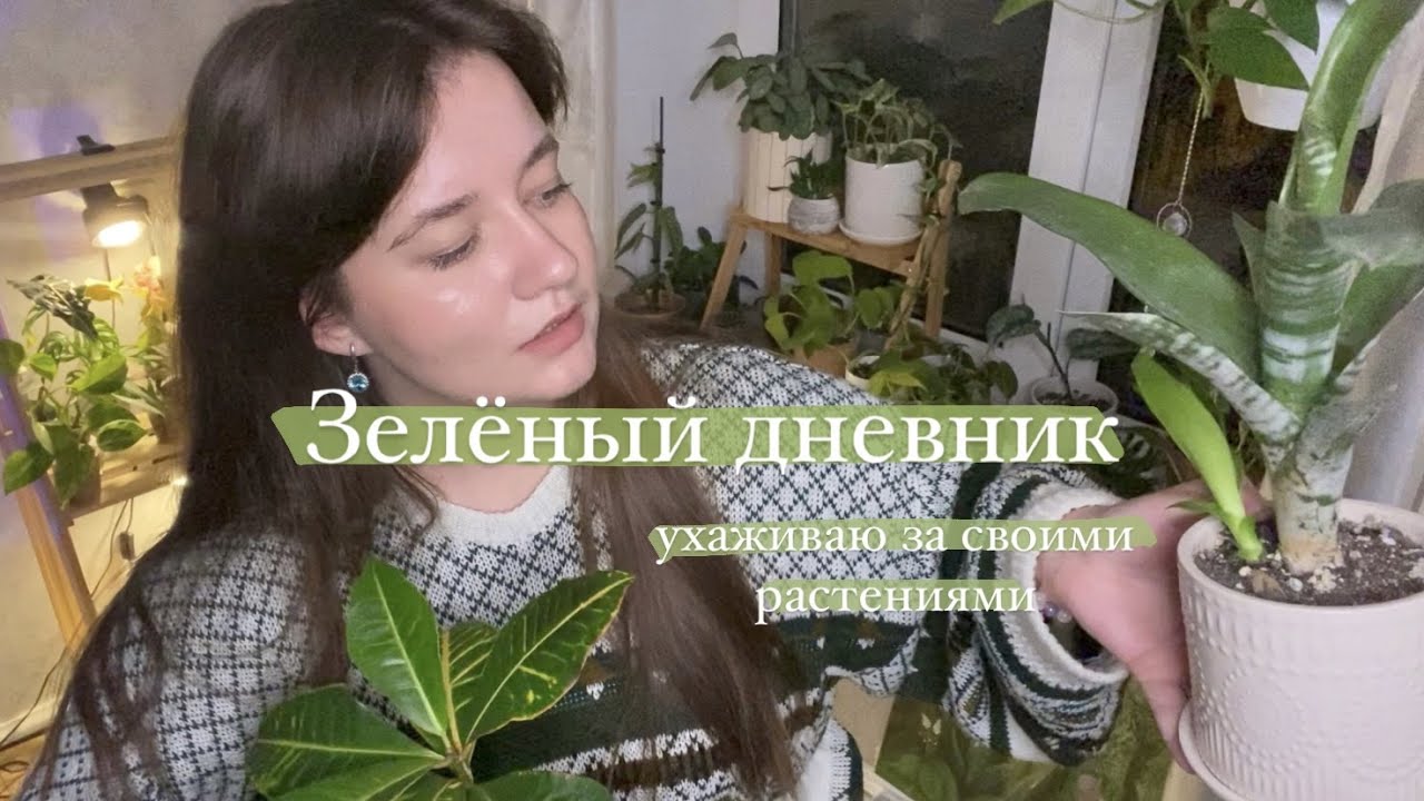 Зелёный дневник || перестановка в комнате, полив растений