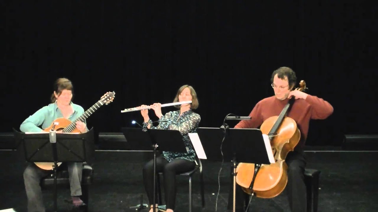 Hungarian Trio by Nathan Kolosko (flute, guitar, cello) Part 2