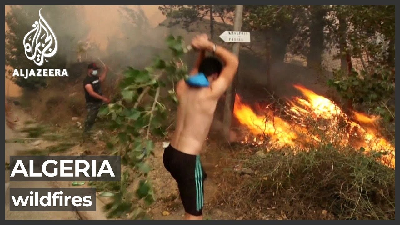 At least 69 killed in devastating wildfires across Algeria
