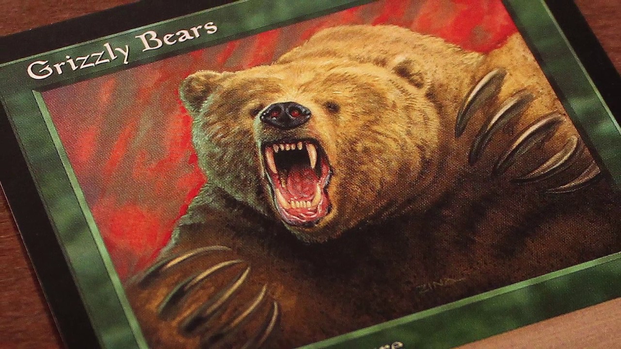 The History of Grizzly Bears - Feat. Marshall Sutcliffe
