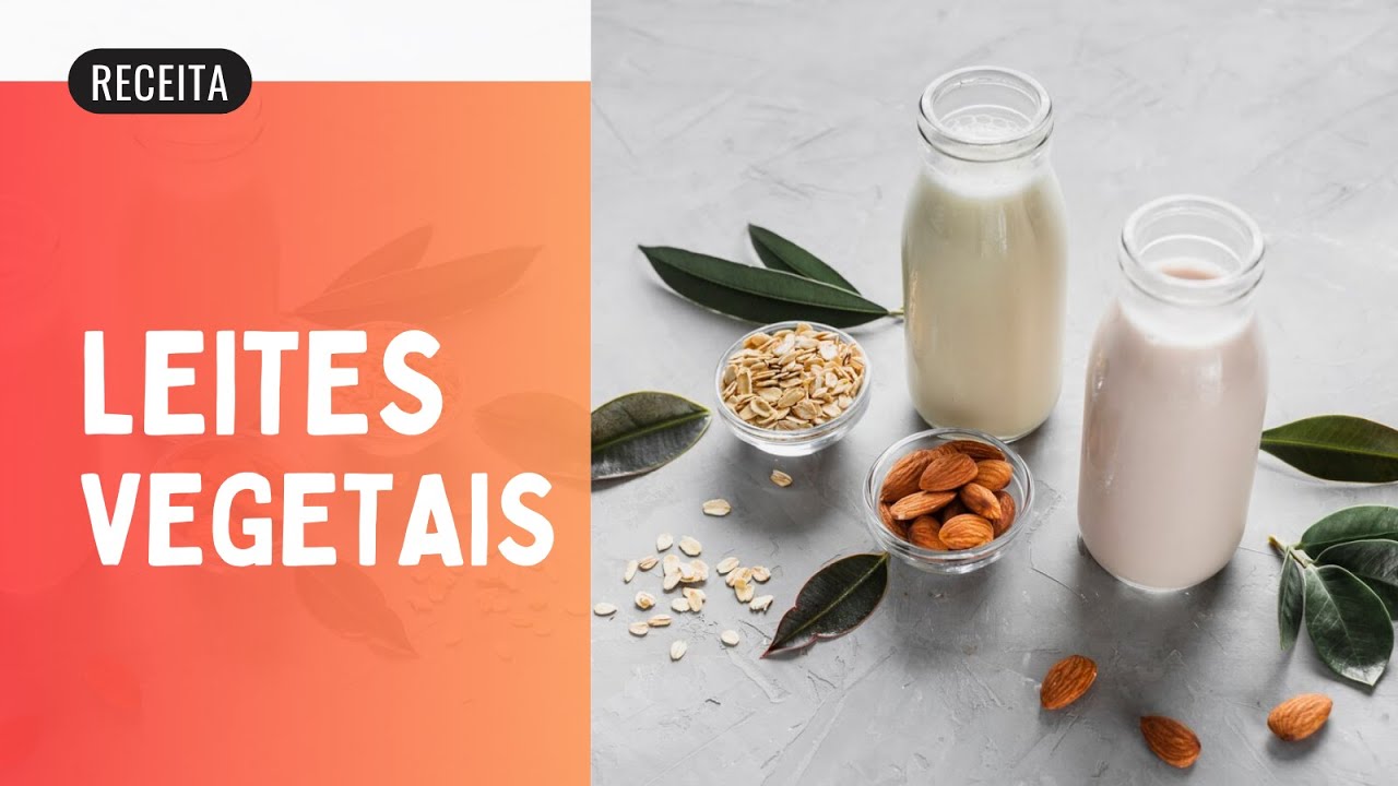 Como Fazer Leites Vegetais Super Nutritivos, Fáceis de Digerir e Aromáticos