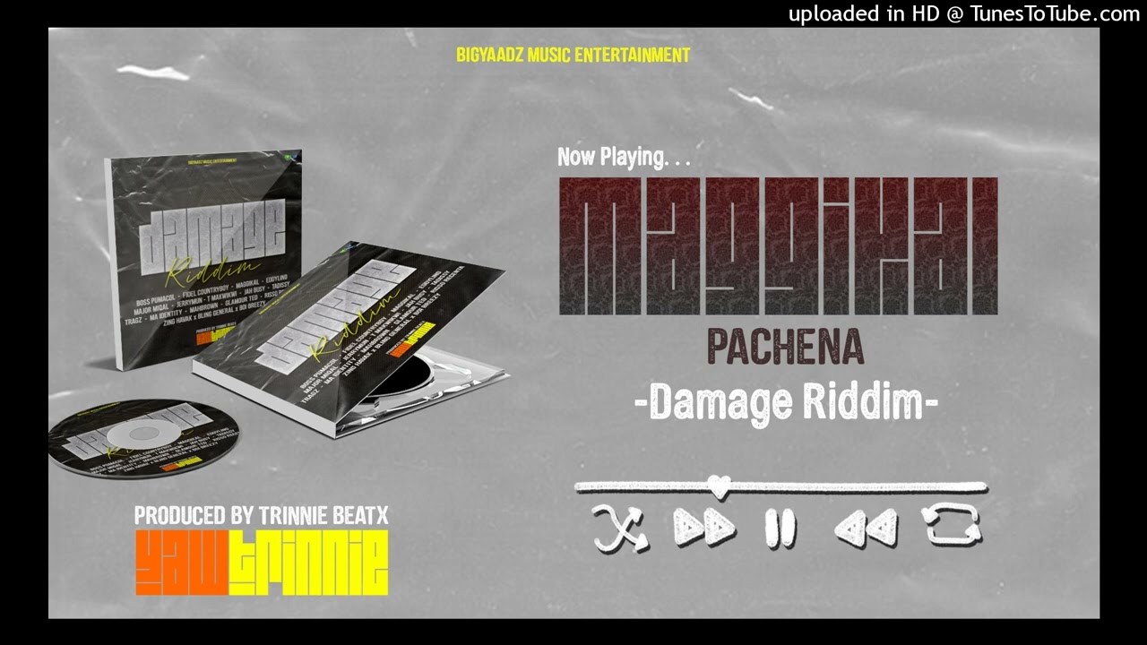 04. Maggikal - Pachena (DAMAGE RIDDIM FEB. 2026)